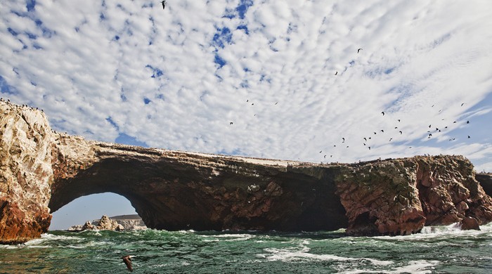 ISLAS BALLESTAS, PARACAS, ICA, LA CEGUERA FOTO