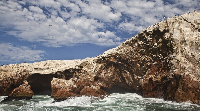 ISLAS BALESTAS, PARACAS, TURISMO, PERU, LA CEGUERA FOTO