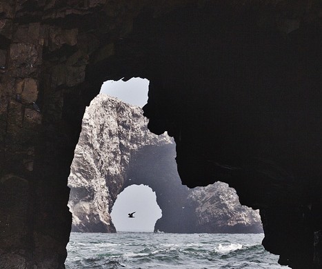 ISLAS BALLESTAS, PARACAS, TURISMO, PERU, LA CEGUERA FOTO