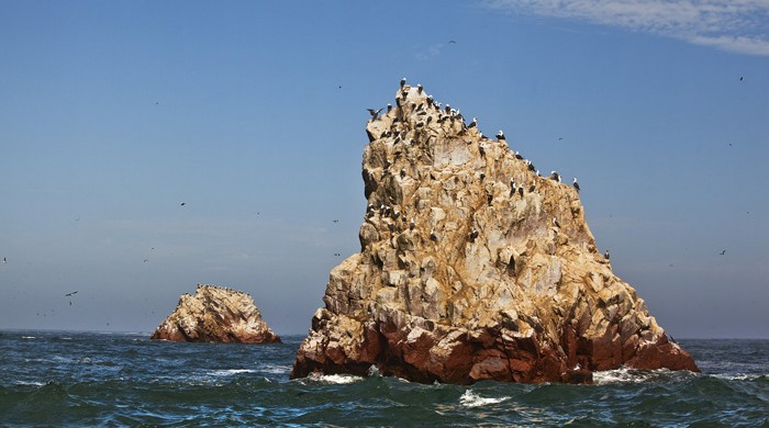 ISLAS BALLESTAS, PERU, PARACAS, TURISMO, LA CEGUERA FOTO