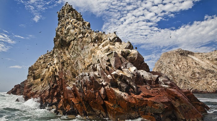 ISLAS BALLESTAS, PARACAS, PERU, TURISMO, LA CEGUERA FOTO