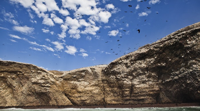 ISLAS BALLESTAS, PARACAS, PERU, LA CEGUERA FOTO