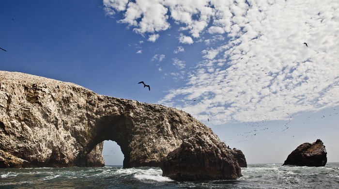 ISLAS BALLESTAS, PARACAS, TURISMO, PERU, LA CEGUERA FOTO