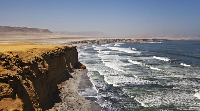 RESERVA NACIONAL PARACAS, PERU, LA CEGUERA FOTO