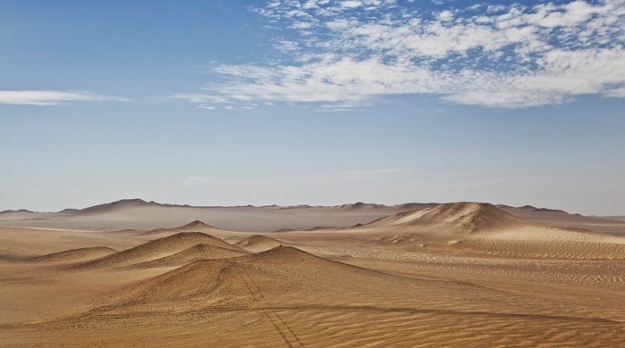 RESERVA NACIONAL DE PARACAS, TURISMO, PERU, LA CEGUERA FOTO