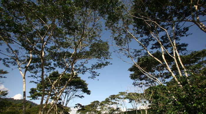 TARAPOTO, PERU
