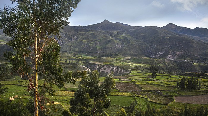 COPORAQUE, COLCA, AREQUIPA, PERU
