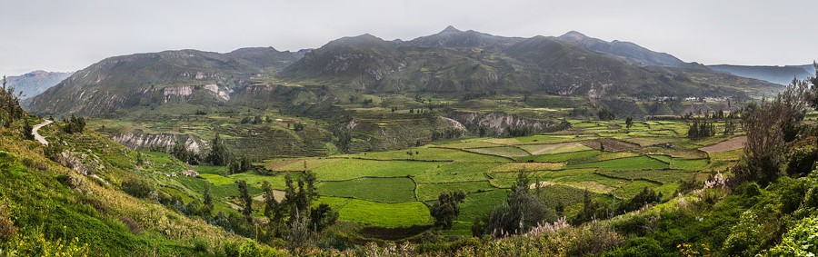 COLCA, AREQUIPA, PERU