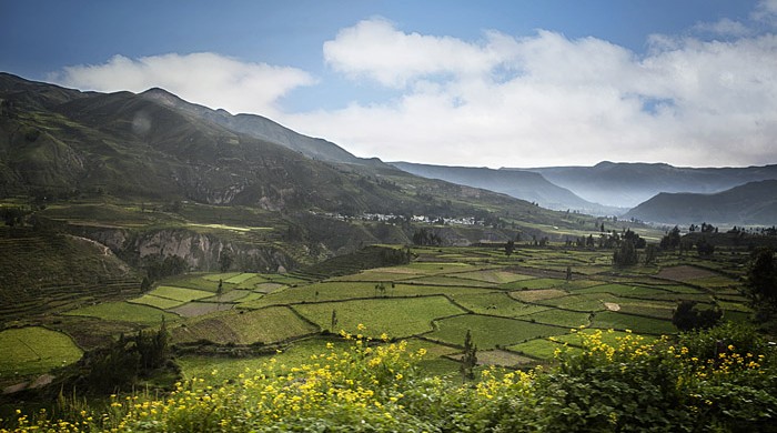 COLCA, AREQUIPA, PERU