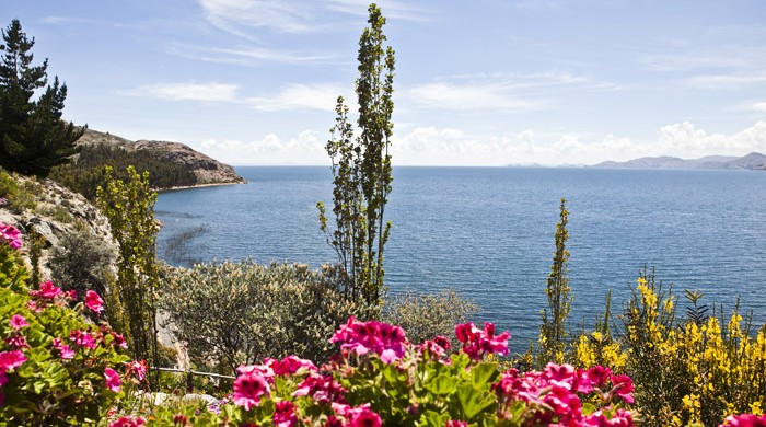 ISLA SUASI, LAGO TITICACA, PUNO, PERU