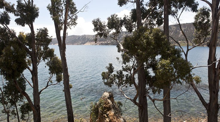 ISLA SUASI, LAGO TITICACA, PUNO, PERU