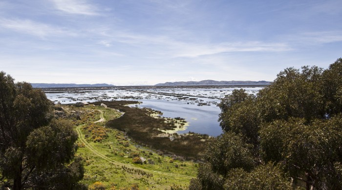 LAGO TITICACA, PUNO, PERU