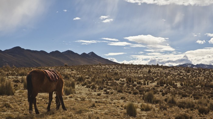 JULIACA, PUNO, PERU