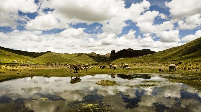 AYAVIRI, PUNO, PERU
