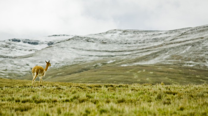 AYAVIRI, PUNO, PERU