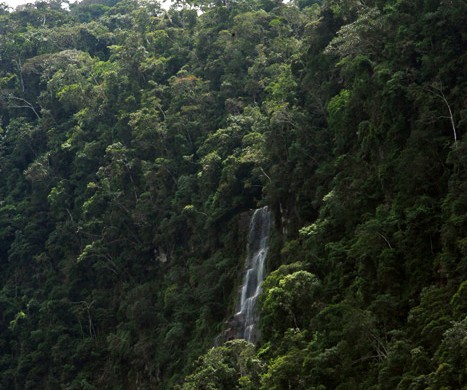 Catarata