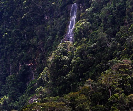 Catarata
