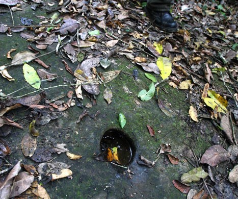Ojos de agua