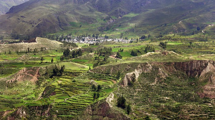 Valle del Cañon del Colca