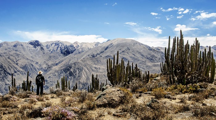 Valle del Colca