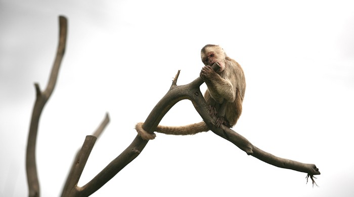 ZOOLOGICO, LOJA, ECUADOR