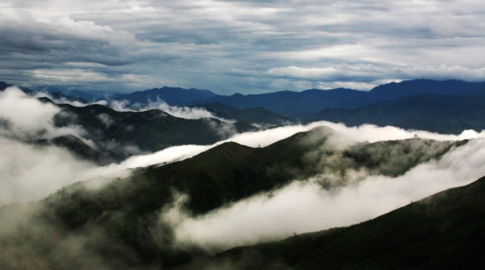 BOSQUES DE CHINCHIPE, CAJAMARCA, PERU