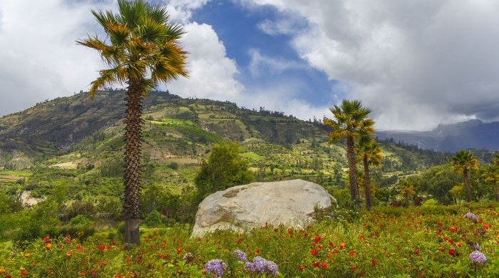YUNGAY
